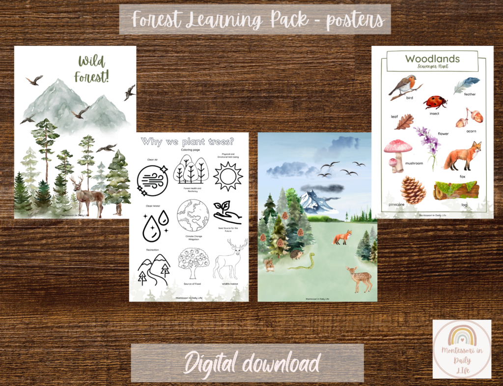 Forest Learning Display Forest Early Learning Pack + FREE Forest Coloring Book – Montessori in ...