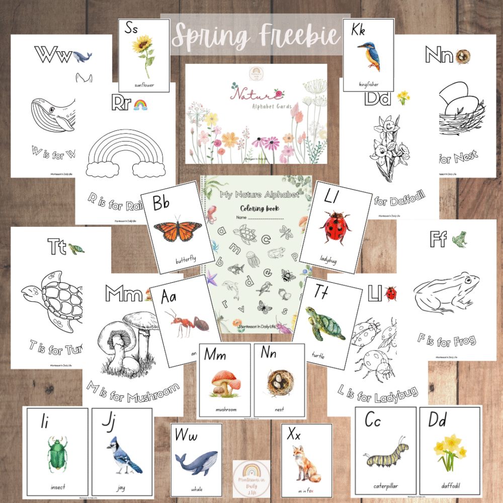 Nature Language Cards with FREE Alphabet Coloring Book - Preschool, Montessori Inspired