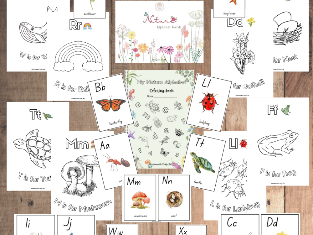 Nature Language Cards with FREE Alphabet Coloring Book - Preschool, Montessori Inspired