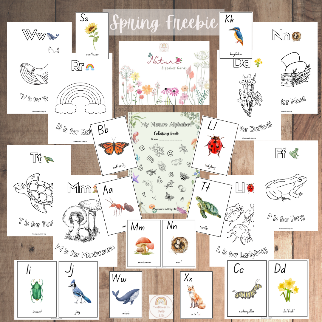 Nature Language Cards with FREE Alphabet Coloring Book – Preschool, Montessori Inspired