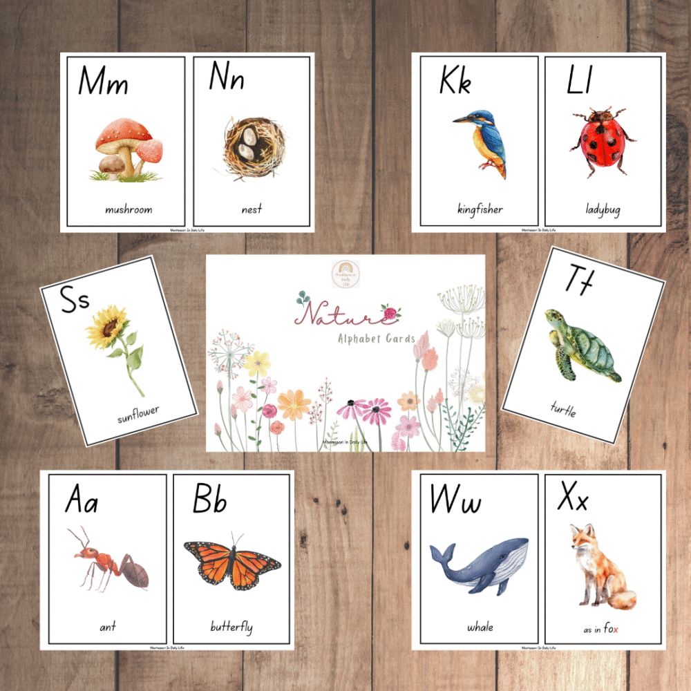 Nature Language Cards with FREE Alphabet Coloring Book - Preschool, Montessori Inspired - Image 2