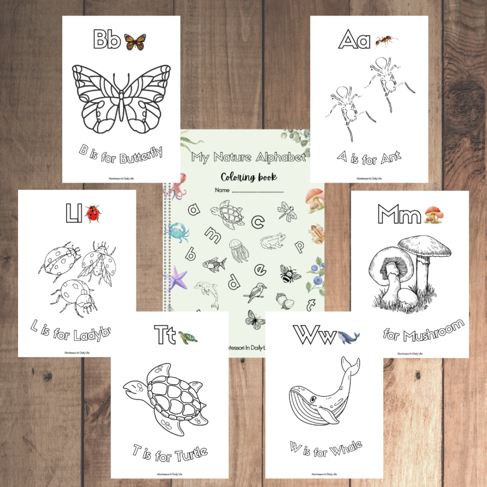 Nature Language Cards with FREE Alphabet Coloring Book - Preschool, Montessori Inspired - Image 3