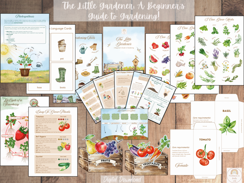 The Little Gardener: A Beginner's Guide to Gardening for Parents and Children