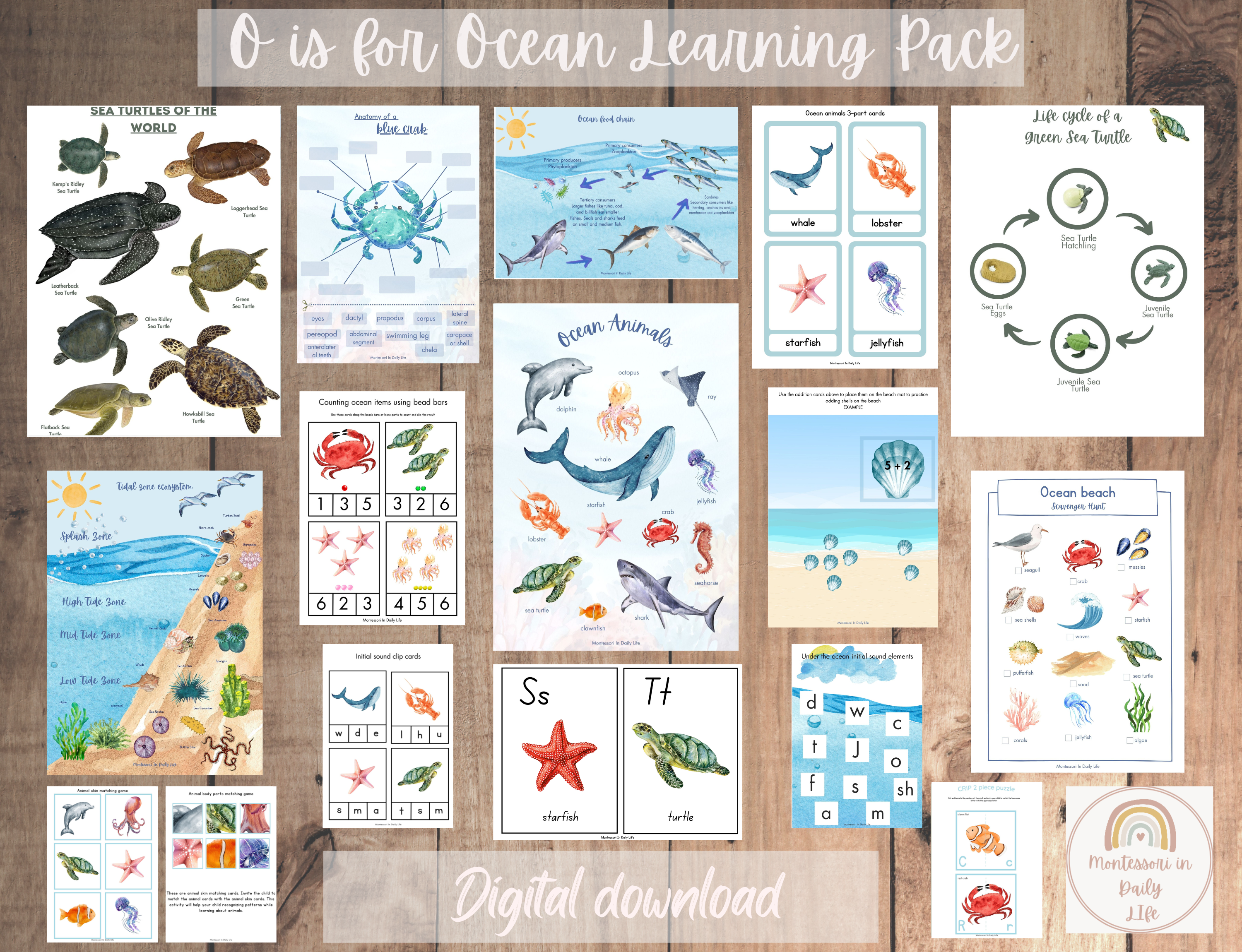 O is for Ocean 50-page Learning Pack Sample