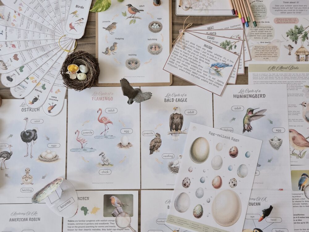 Birds of the World Unit Study: Montessori Inspired Activities (Ages 6-9)