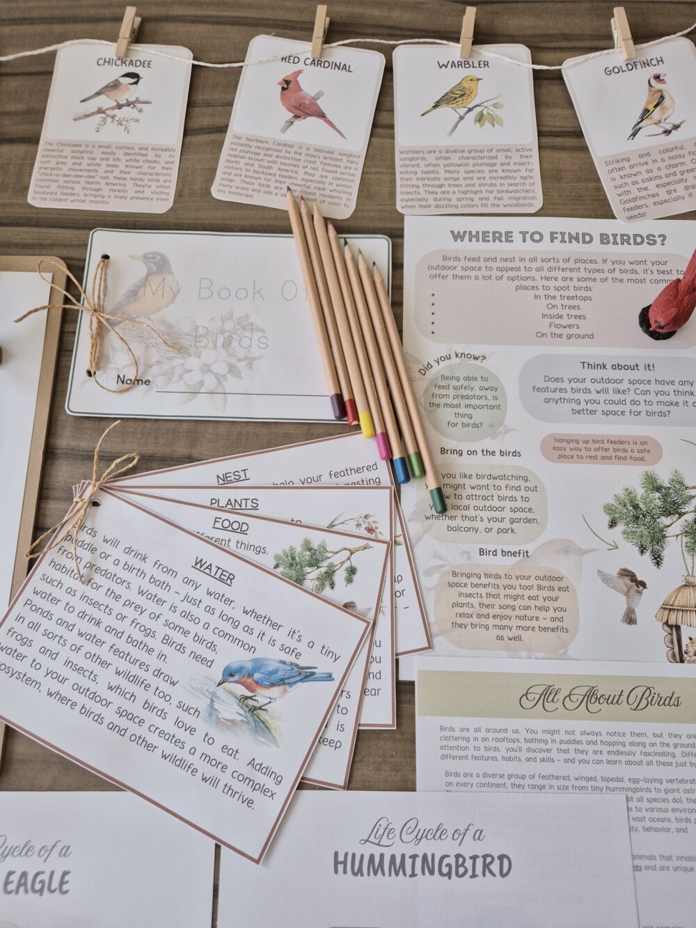 Birds of the World Unit Study: Montessori Inspired Activities (Ages 6-9 ...
