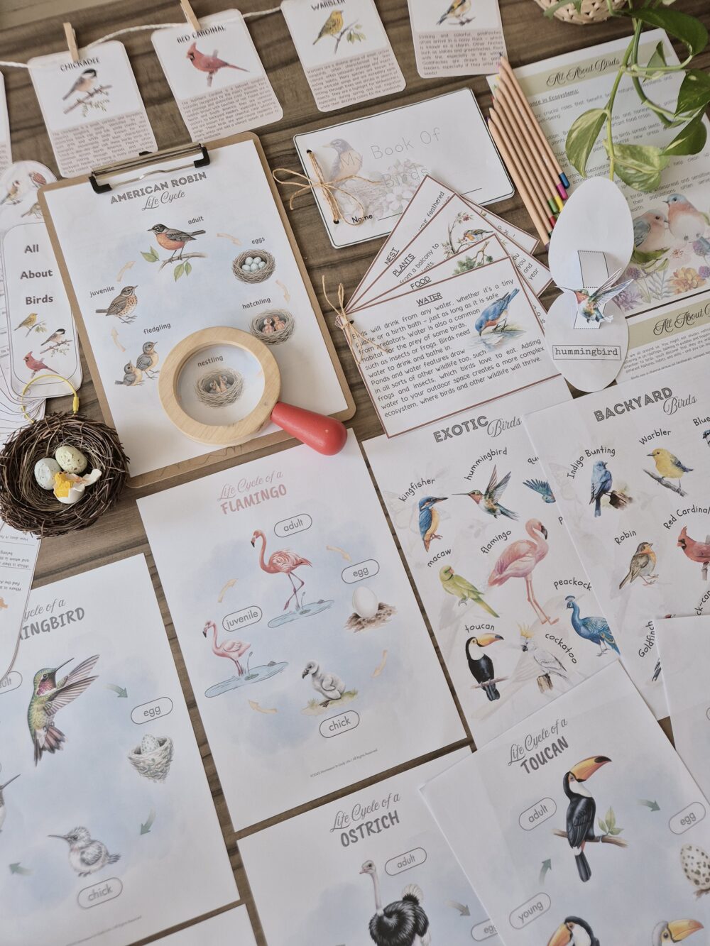 Birds of the World Unit Study: Montessori Inspired Activities (Ages 6-9 ...