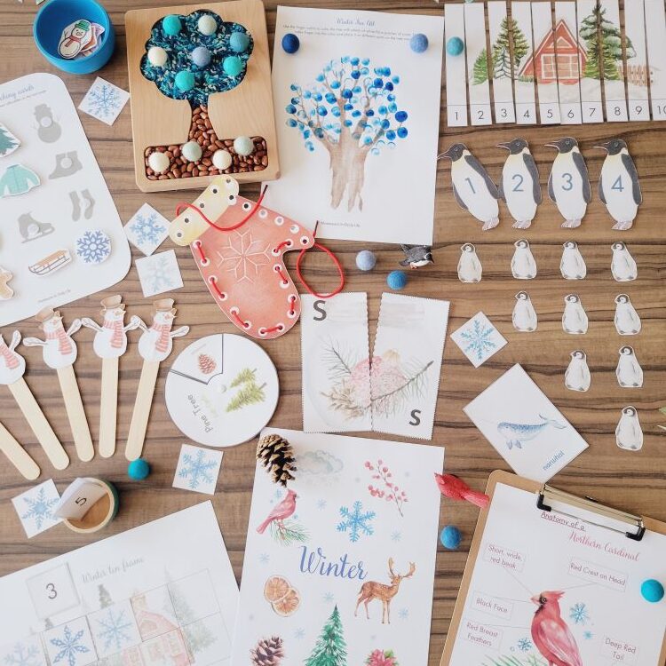 Winter Wonderland Montessori Learning Pack