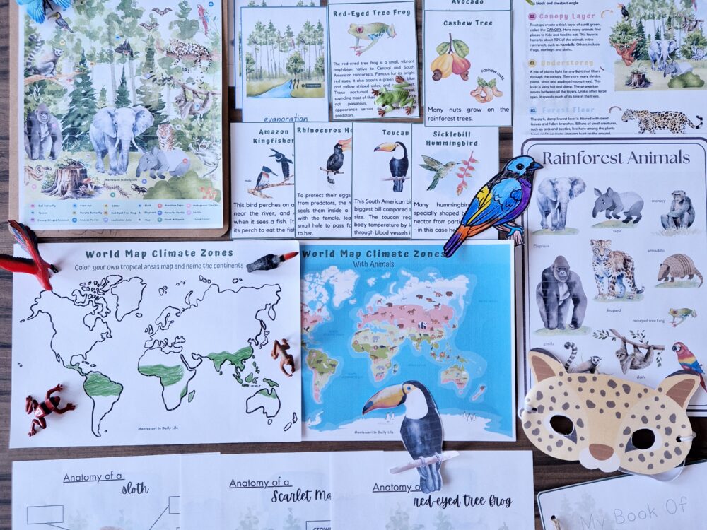 Tropical Rainforest Montessori Inspired Unit Study (6 to 12 years old)