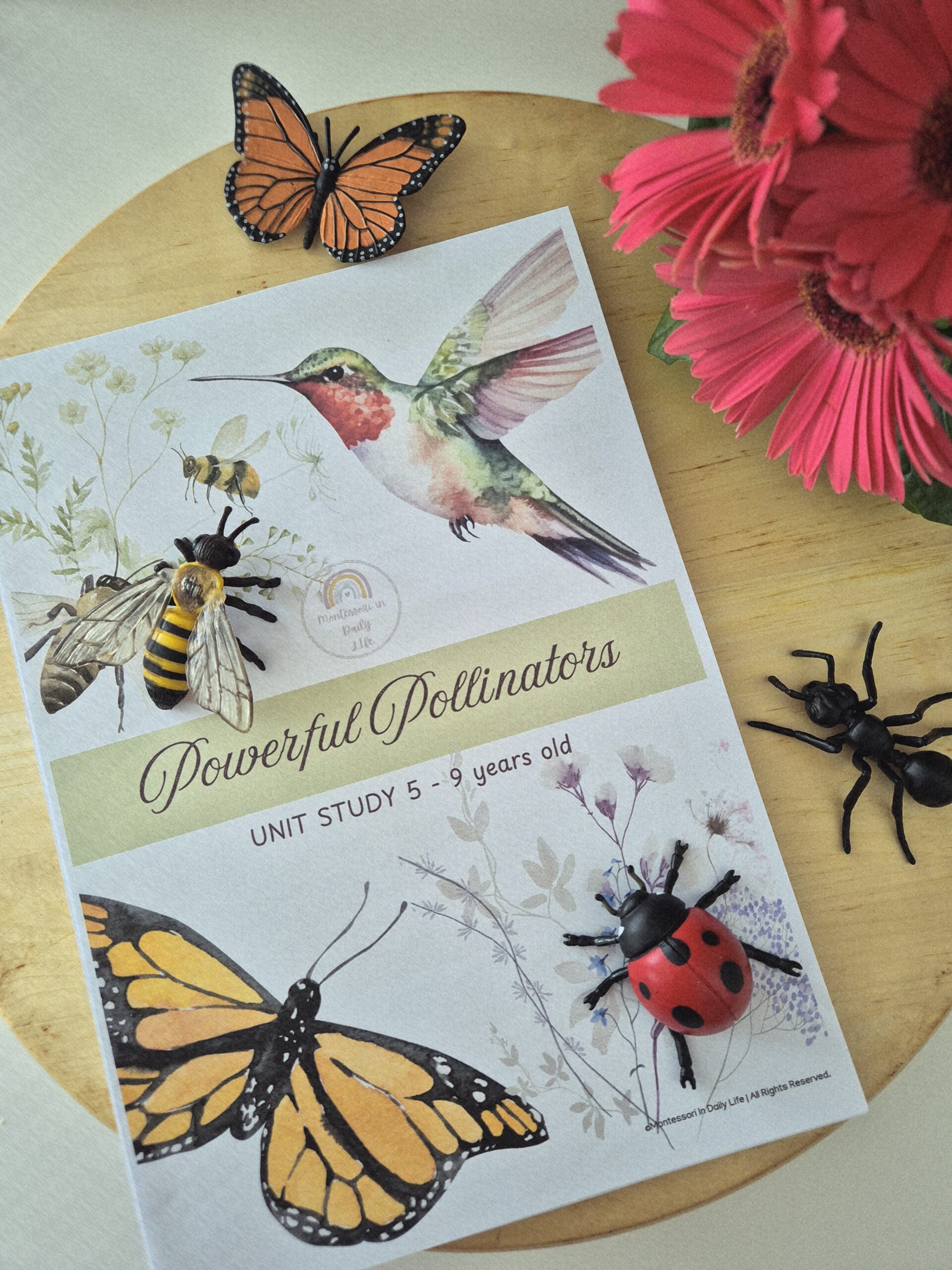 Powerful Pollinators Unit Study 3 - 9 years old - Image 2