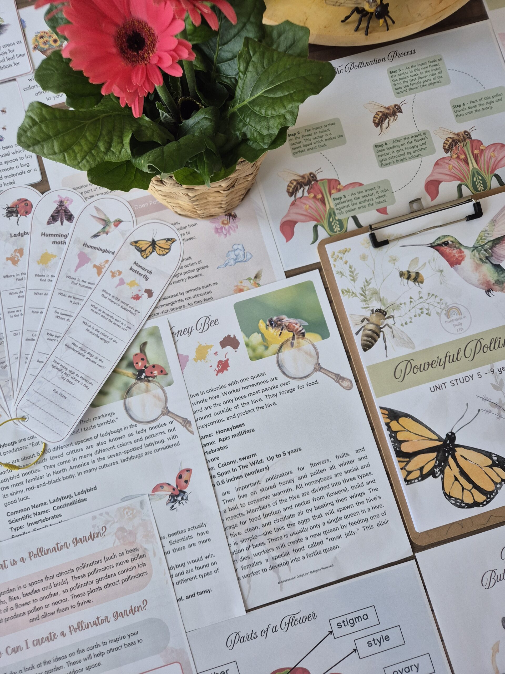 Powerful Pollinators Unit Study 3 - 9 years old - Image 6