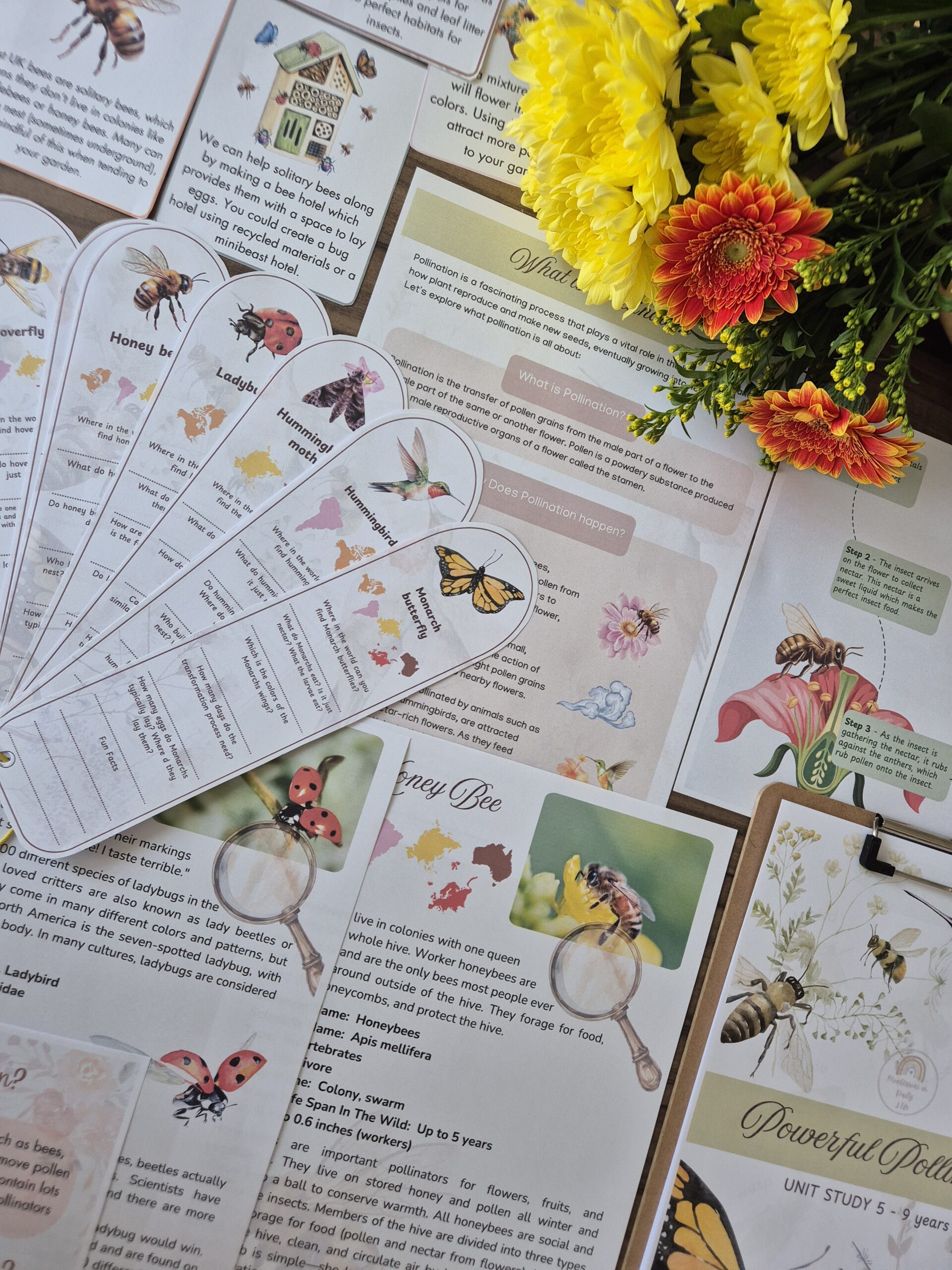 Powerful Pollinators Unit Study 3 - 9 years old - Image 7