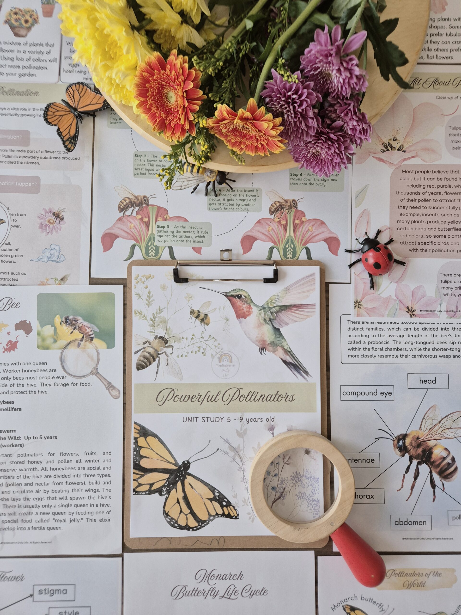 Powerful Pollinators Unit Study 3 - 9 years old - Image 8