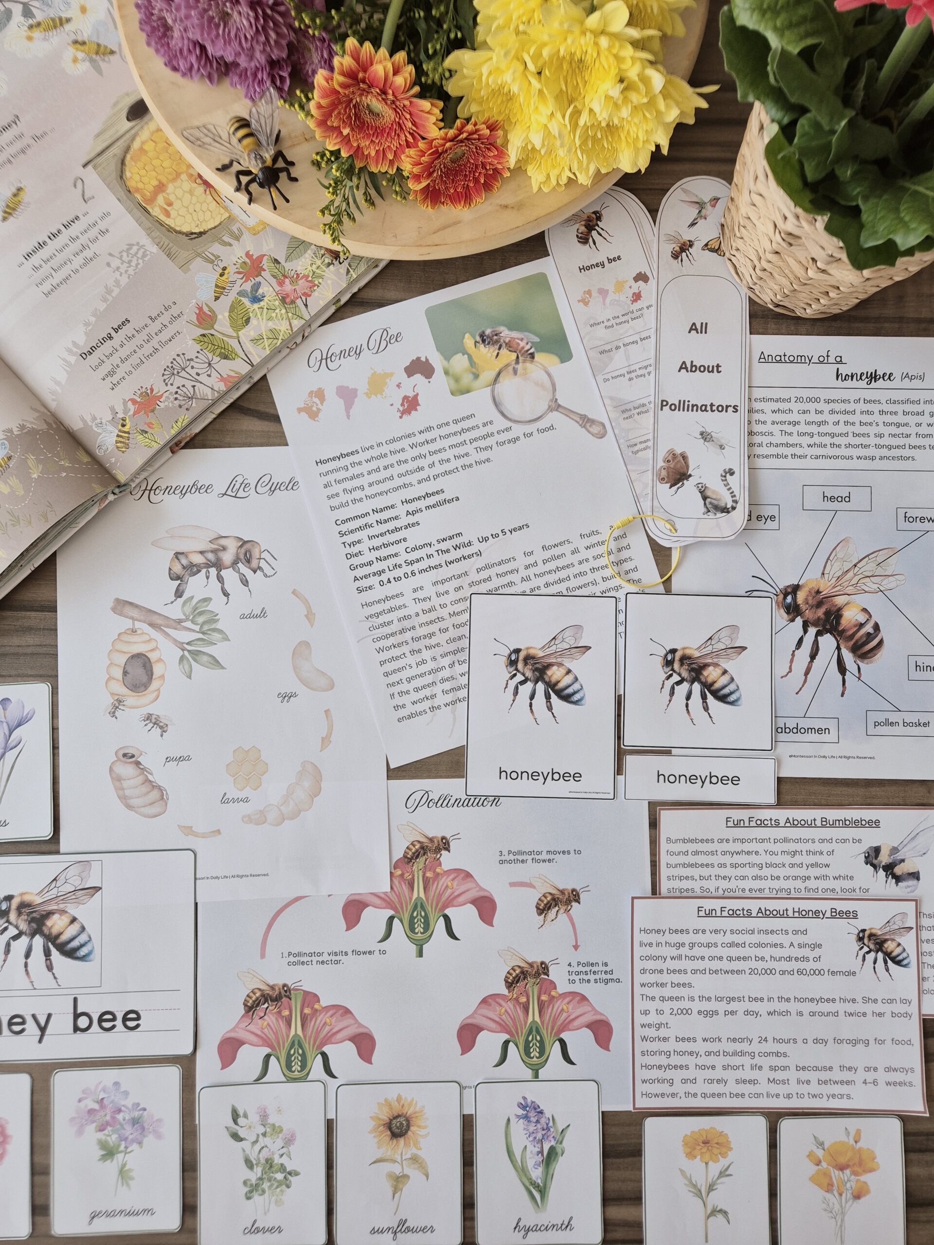 Powerful Pollinators Unit Study 3 - 9 years old - Image 12