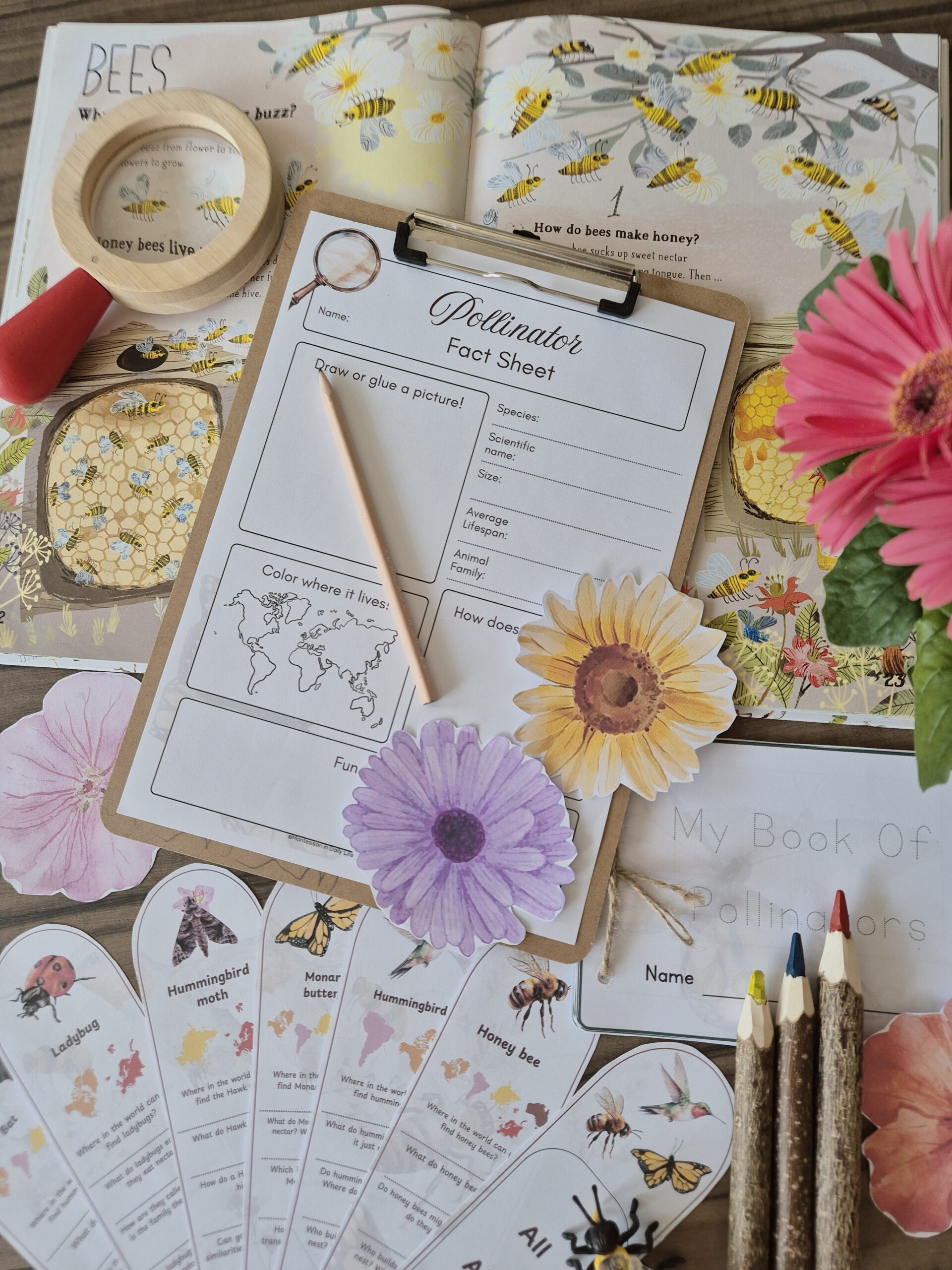 Powerful Pollinators Unit Study 3 - 9 years old - Image 10