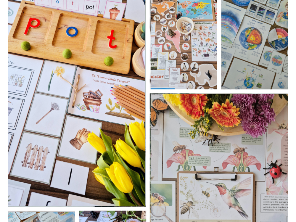 The Essentials Collection: Our Top 10 Learning Units