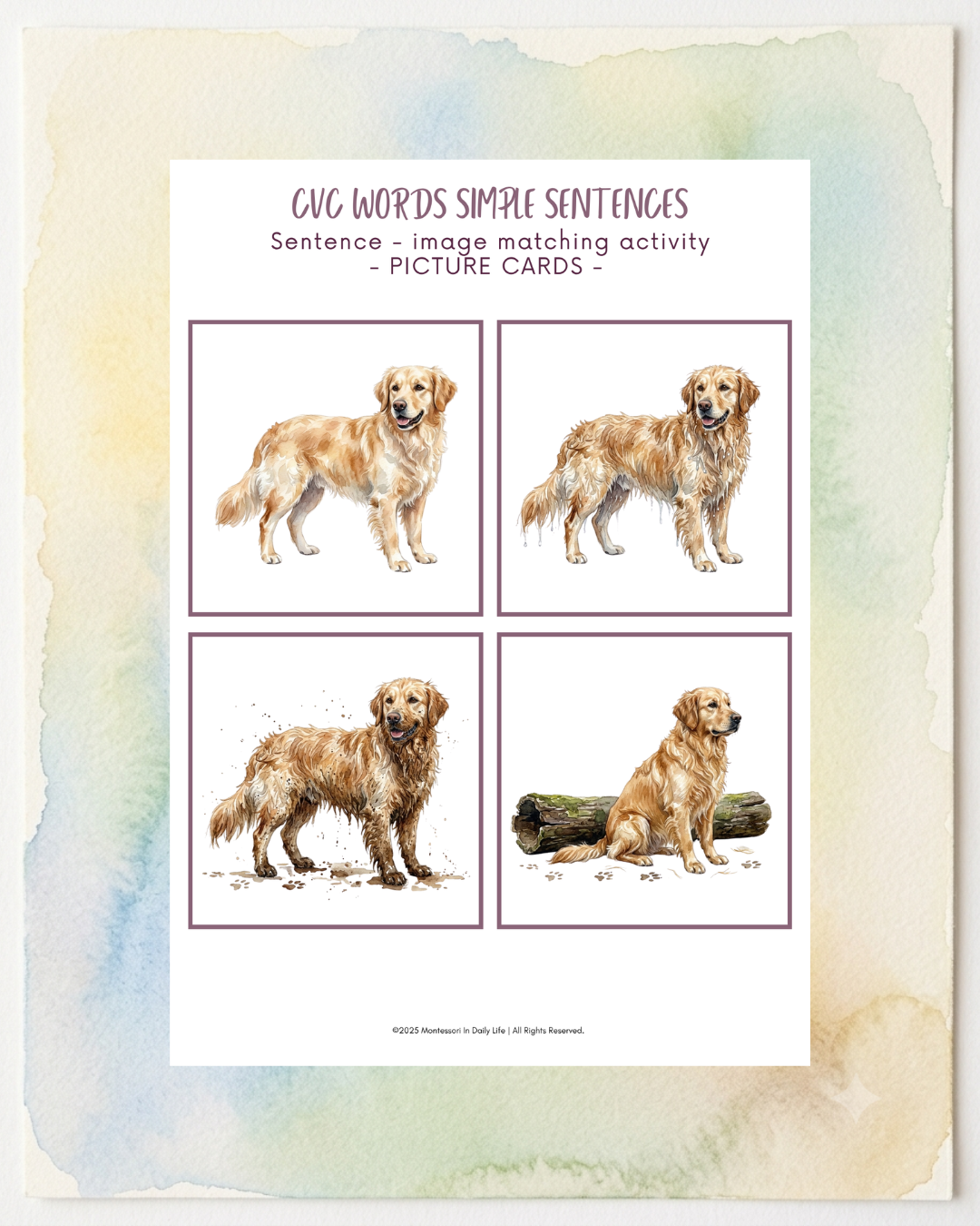 Simple Sentences - CVC Words Matching Activity Pack - Image 7