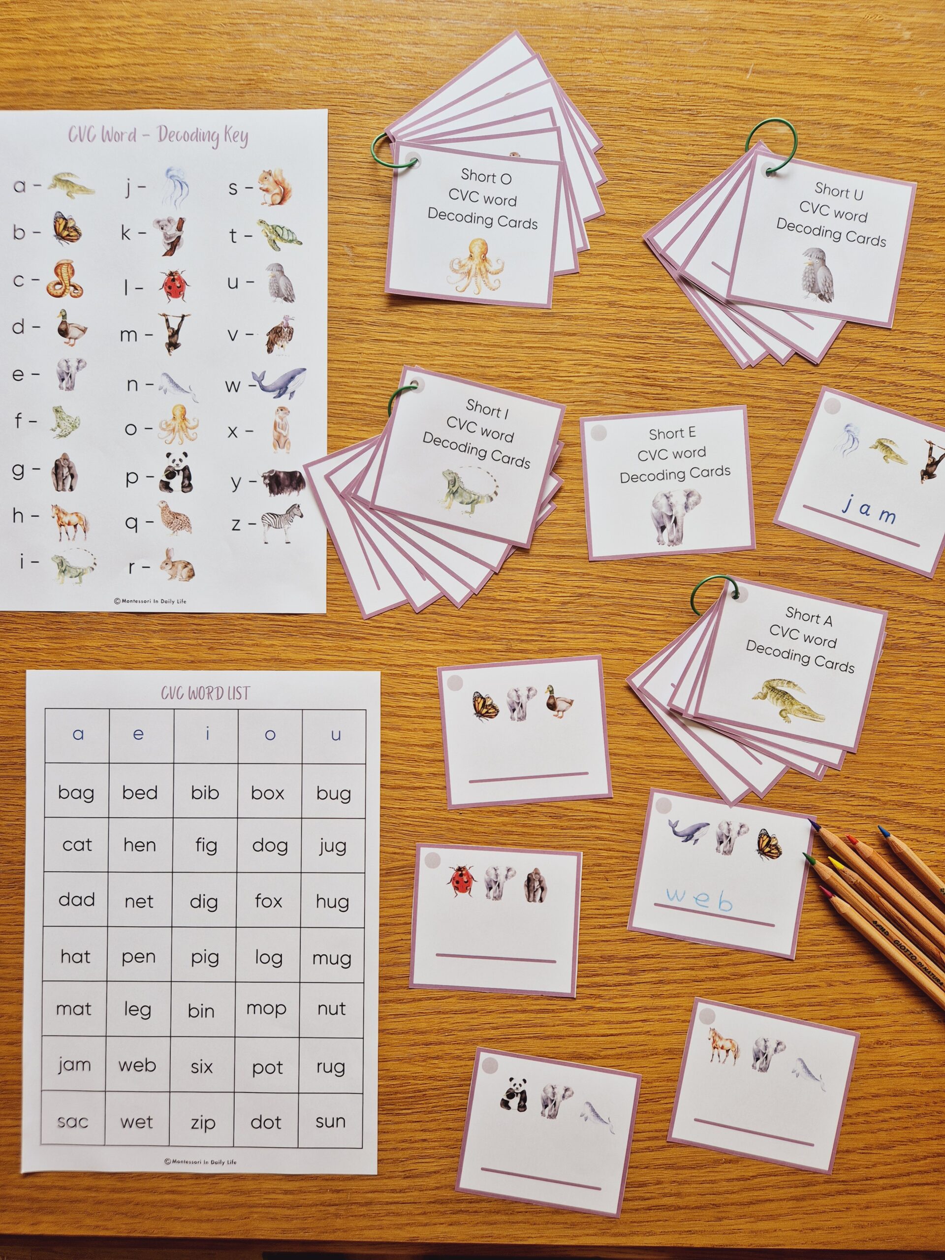 Free CVC Words Activity Sampler (20-Page Printable Pack) - Image 3
