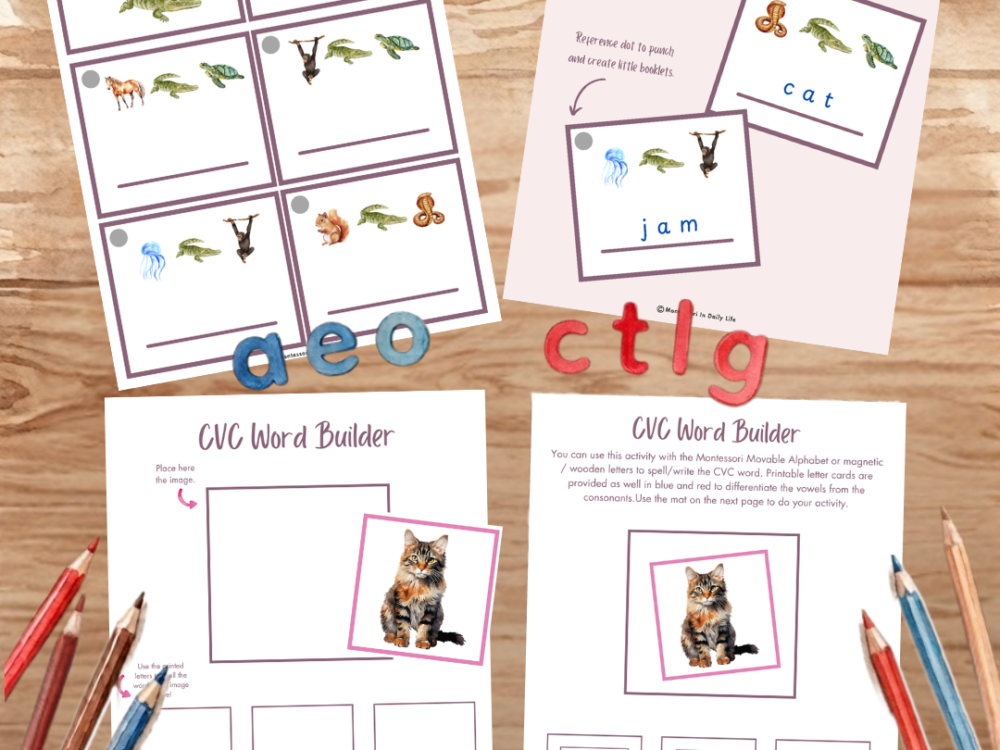Free CVC Words Activity Sampler (20-Page Printable Pack)
