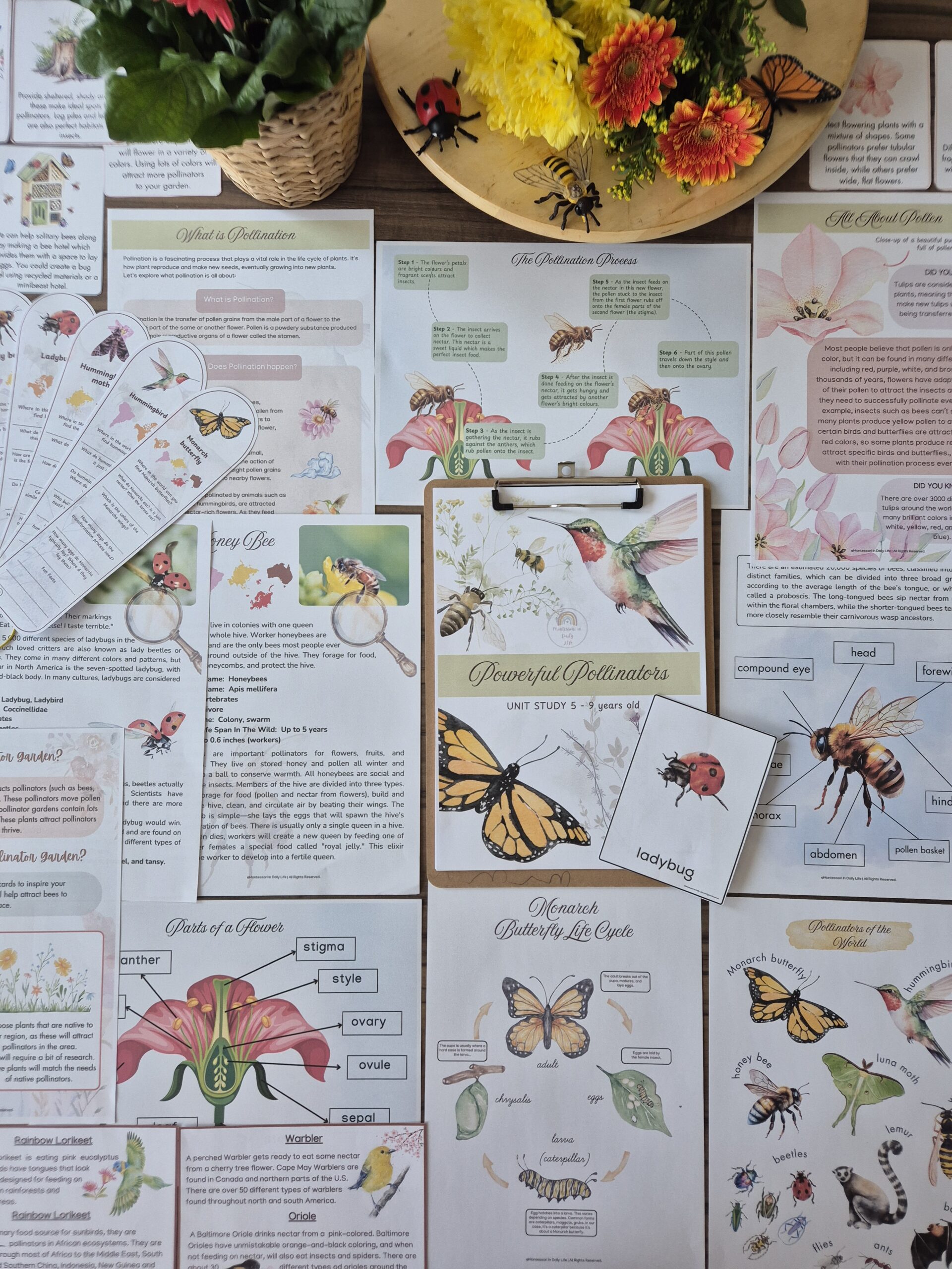 The Signature Collection Curriculum Bundle - Image 12