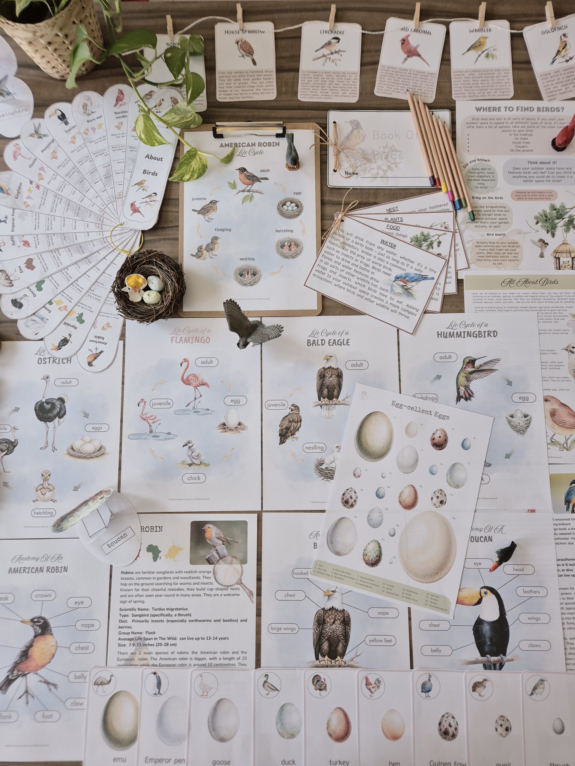 The Signature Collection Curriculum Bundle - Image 14