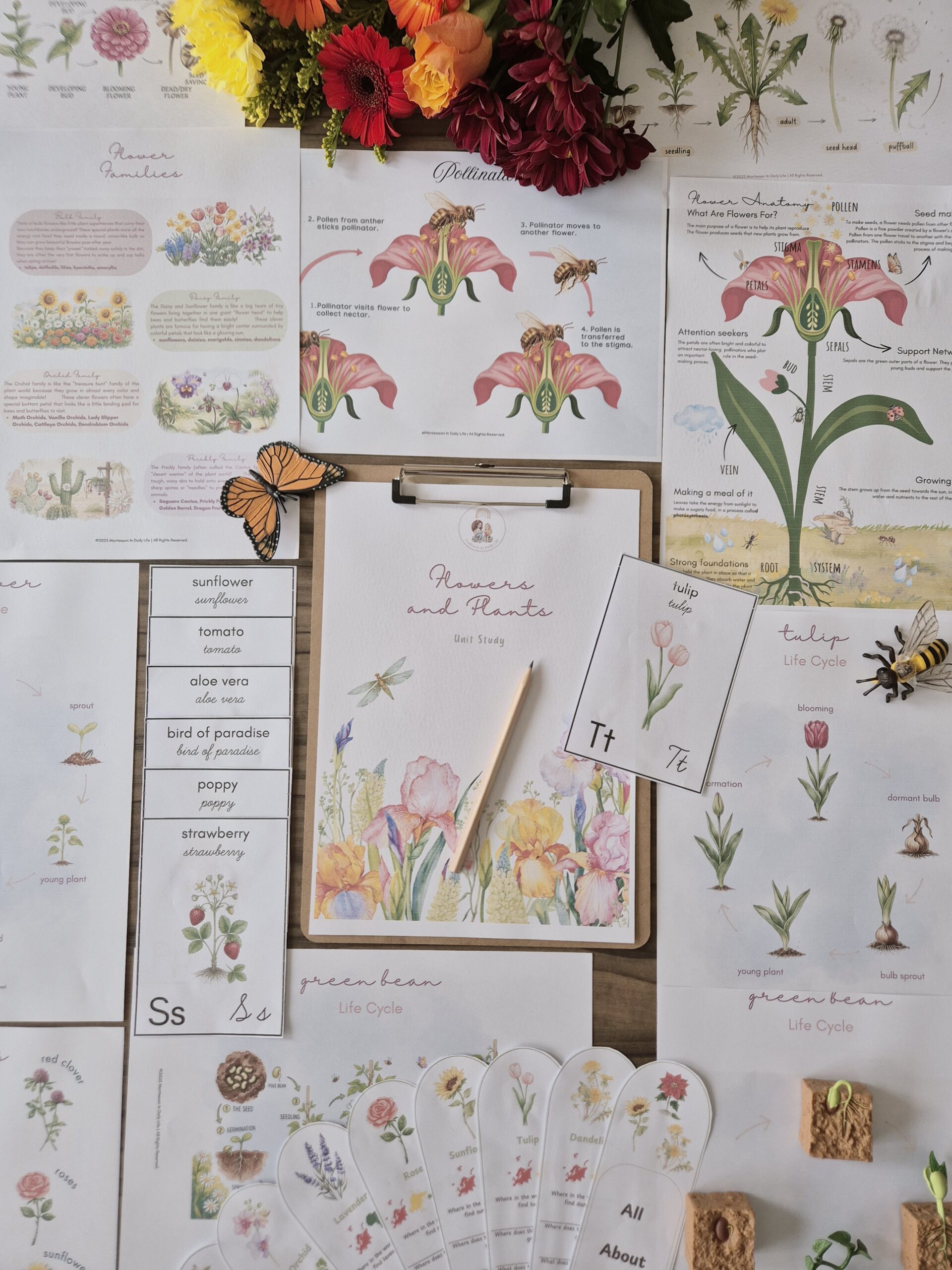 The Signature Collection Curriculum Bundle - Image 18