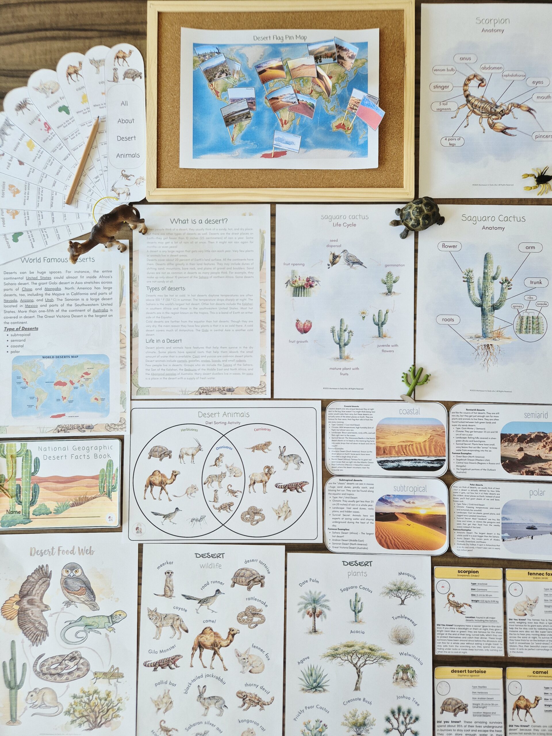 The Signature Collection Curriculum Bundle - Image 19
