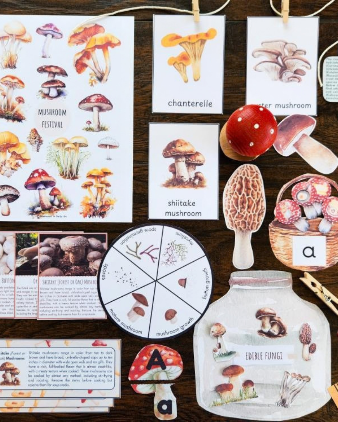 The Signature Collection Curriculum Bundle - Image 4