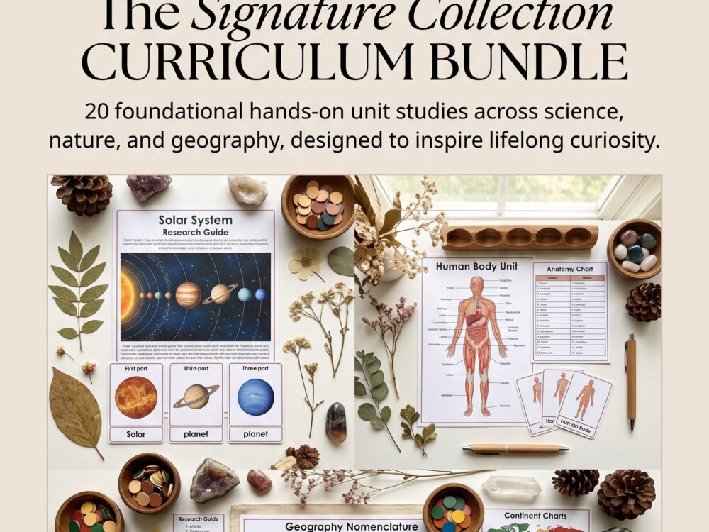 The Signature Collection Curriculum Bundle
